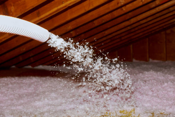 Best Cellulose Insulation in Stepping Stone, CO