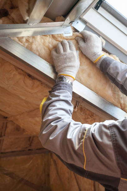 Best Geographic-Specific Insulation Services in Stepping Stone, CO